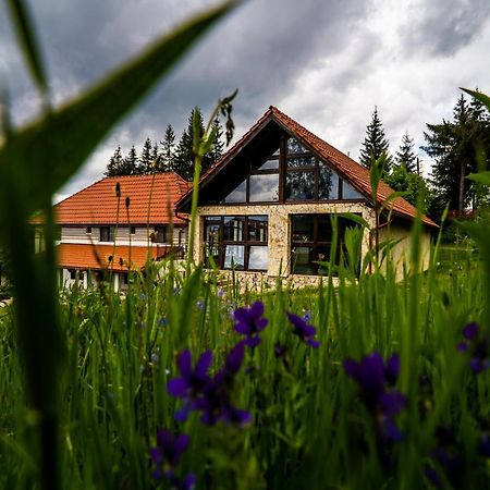 Pensiunea Romconcord Balcesti Екстер'єр фото